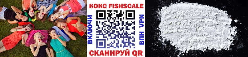 Купить закладки  Зеленогорск  КОКАИН FishScale 