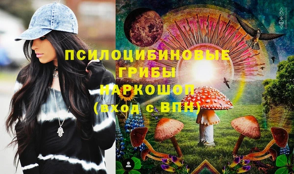 стаф Балахна