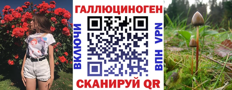 Купить где  Зеленогорск  Псилоцибиновые грибы прущие грибы 
